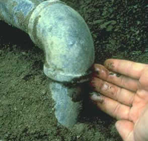 Leaky Pipe Stafford Virginia